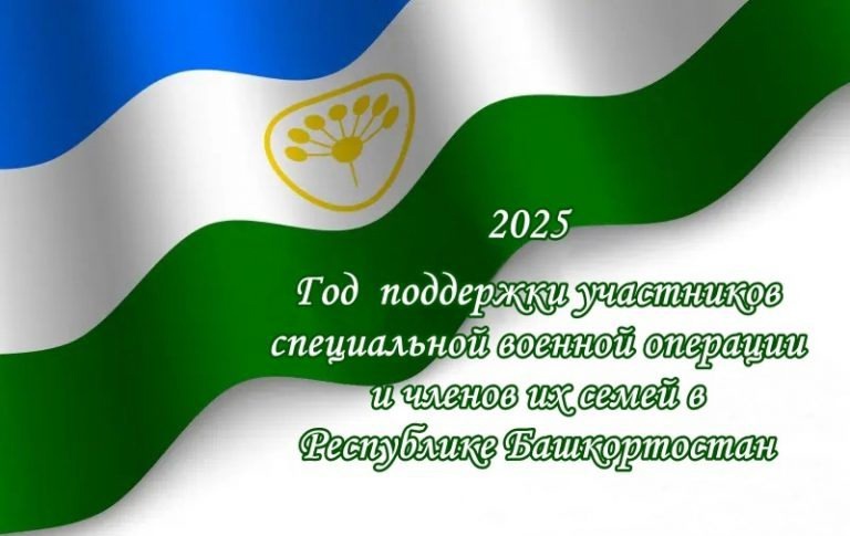 Год поддержки СВО