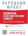 Общероссийский народный фронт