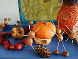 IMG_20201005_104807.jpg