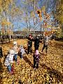 IMG_20201005_113146.jpg