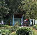 Сад