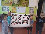 IMG-20211129-WA0000.jpg