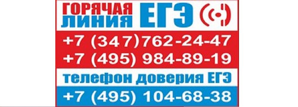 Горячая линия