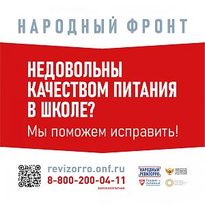 Народный ревизорро
