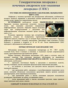 Профилактика геморрагической лихорадки
