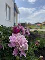 IMG_5777.jpg
