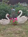 IMG-20230802-WA0057.jpg