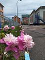 IMG-20200608-WA0005.jpg