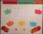Осенние каникулы 2023 г.