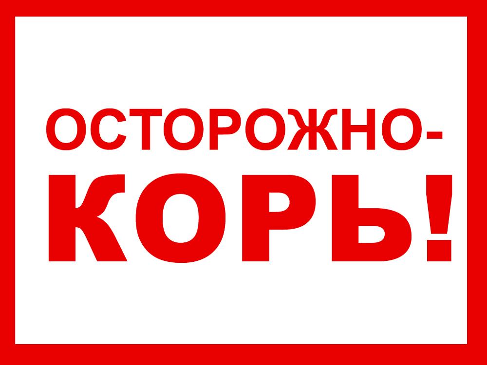 Осторожно,корь!