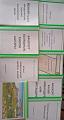 IMG-20250422-WA0016.jpg