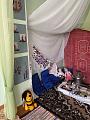IMG_3534.jpeg
