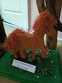 IMG_20251229_143750_849.jpg