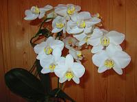 IMG_4670.JPG