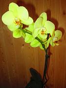 IMG_4744.JPG