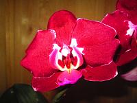 IMG_4987.JPG