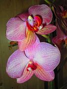 IMG_5139.JPG