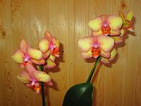 IMG_5143.JPG
