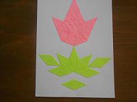 DSCN0039.JPG