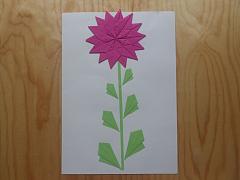 DSCN0065.JPG