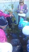 IMG-5d026aadd0fd12df2c1935c51131ccbe-V.jpg