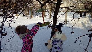 20180215_112135.jpg