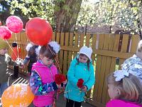 DSCN7986.jpg