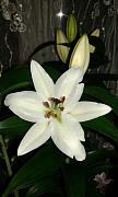 20160306_233328.jpg