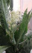 20160319_133950.jpg