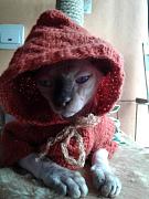 20170304_121515.jpg