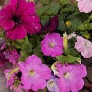 image_(24).jpg
