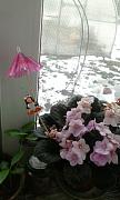 IMG_20160326_142427.jpg