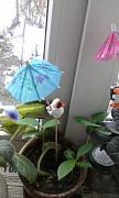 IMG_20160326_142436.jpg