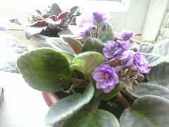 IMG_20160626_090522.jpg