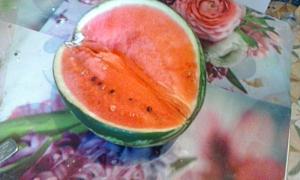 IMG_20160908_065052.jpg