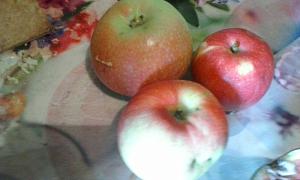 IMG_20160908_065110.jpg