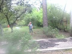 IMG_20160628_095247.jpg