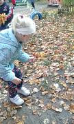 IMG_20161003_104919.jpg