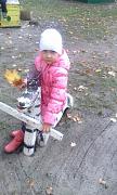 IMG_20161003_105223.jpg