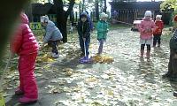 IMG_20161003_112646.jpg