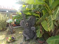 DSCN7299.jpg