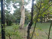 DSCN7379.jpg
