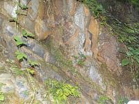 DSCN7467.jpg