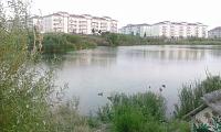 IMG_20160810_192235.jpg