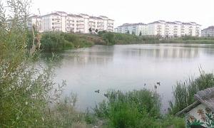 IMG_20160810_192235.jpg