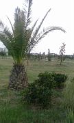 IMG_20160810_192717.jpg