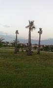 IMG_20160810_192751.jpg