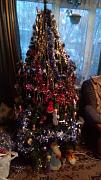 IMG_20161218_1545421.jpg