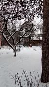 IMG_20161217_135330.jpg