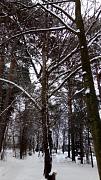 IMG_20161217_135501.jpg